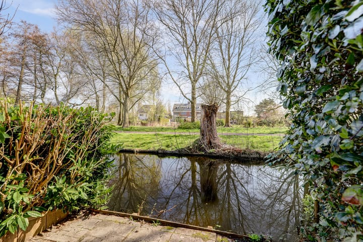 Foto 39 van Beemdgras 36