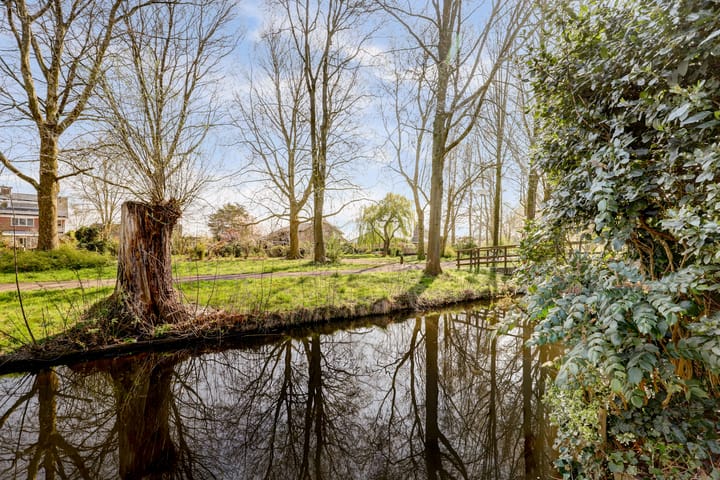 Foto 40 van Beemdgras 36