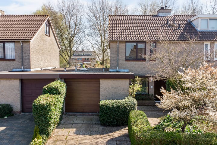 Foto 42 van Beemdgras 36