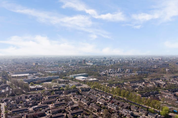 Foto 46 van Beemdgras 36