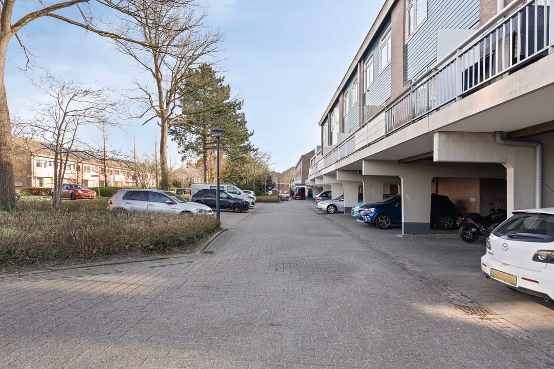 Foto 31 van Boogschutter 38