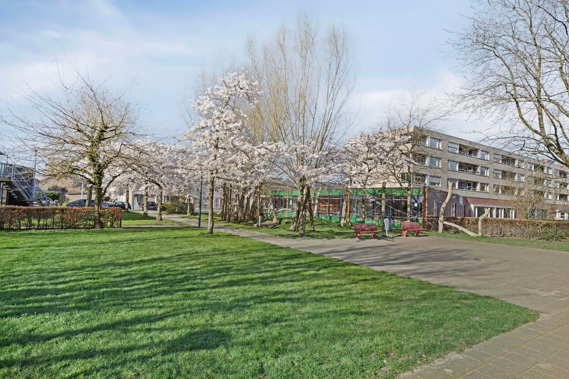 Foto 33 van Boogschutter 38