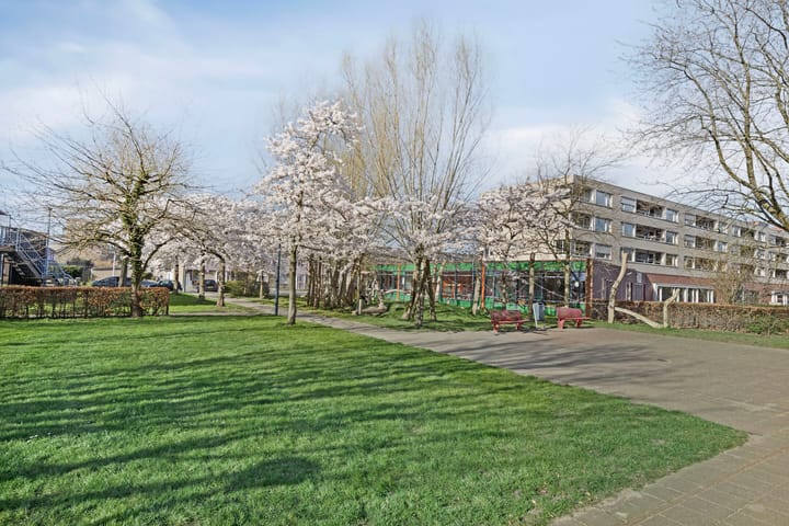 Foto 33 van Boogschutter 38