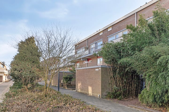 Foto 30 van Boogschutter 38