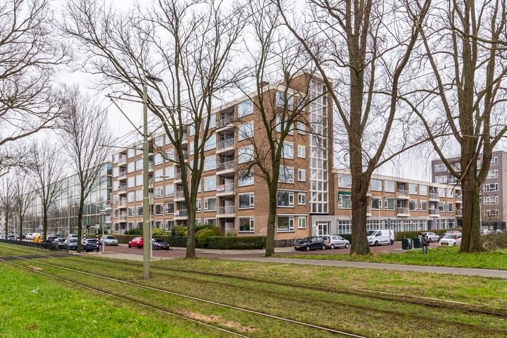 Foto 20 van Erasmusplein 203