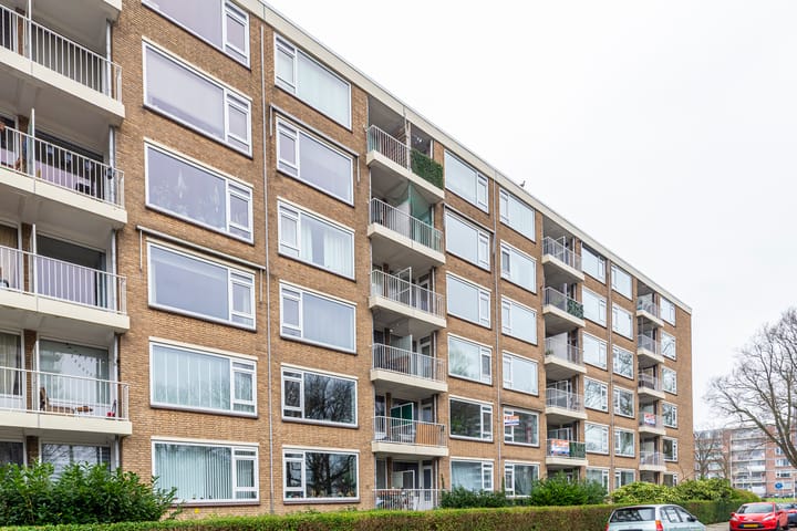 Foto 21 van Erasmusplein 203