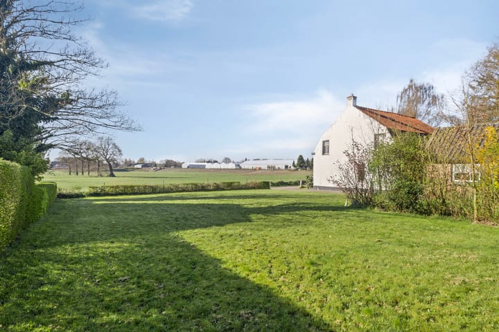 Foto 4 van Nieuwe Molenweg 45