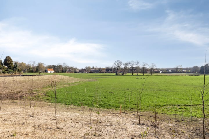 Foto 5 van Nieuwe Molenweg 45