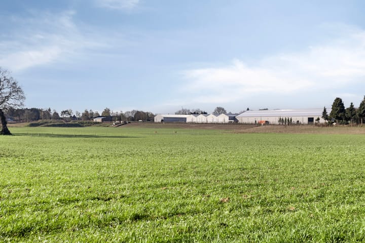 Foto 32 van Nieuwe Molenweg 45