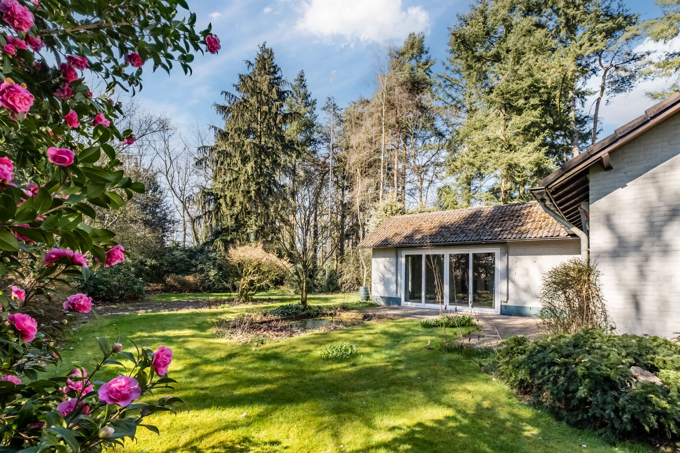 Foto 3 van Postels Huufke 23