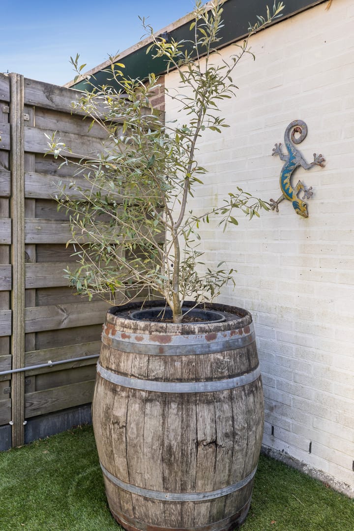 Foto 52 van Indus 54