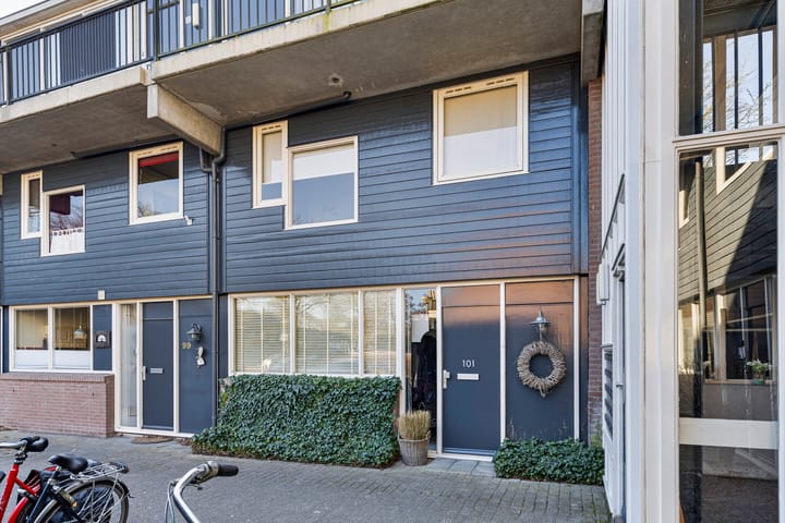 Foto 38 van Ruinerbrink 101