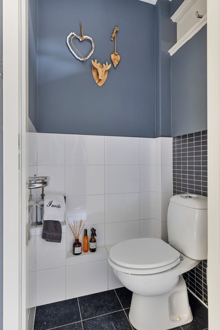 Foto 7 van Ruinerbrink 101