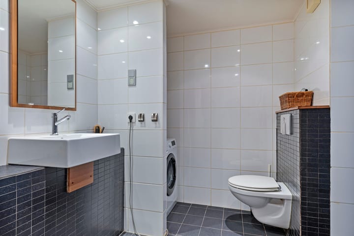 Foto 24 van Ruinerbrink 101