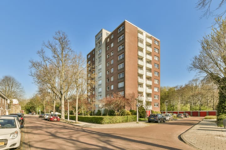 Foto 3 van Dierenriem 88