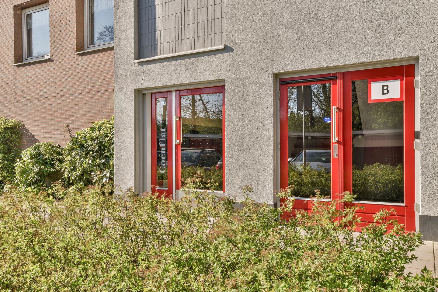 Foto 4 van Dierenriem 88