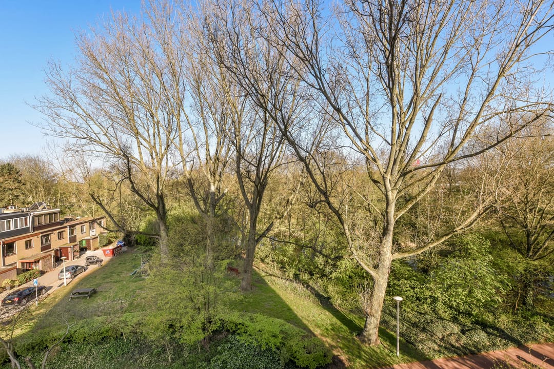 Foto 11 van Dierenriem 88