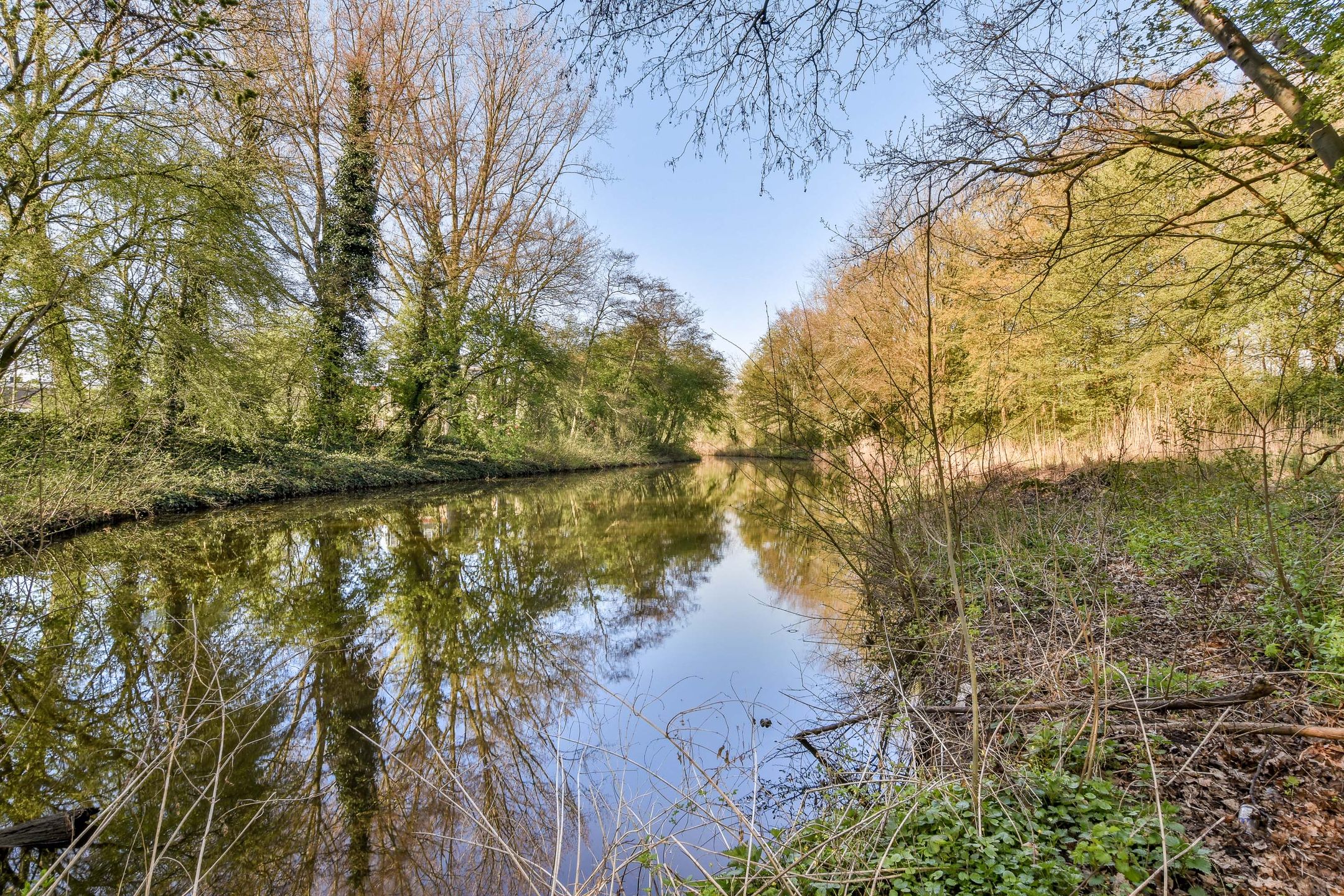 Foto 18 van Dierenriem 88