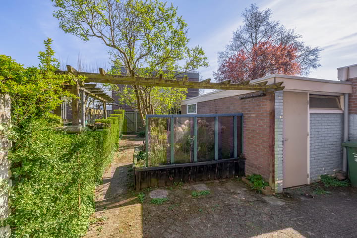 Foto 2 van Hoeckelumstraat 29