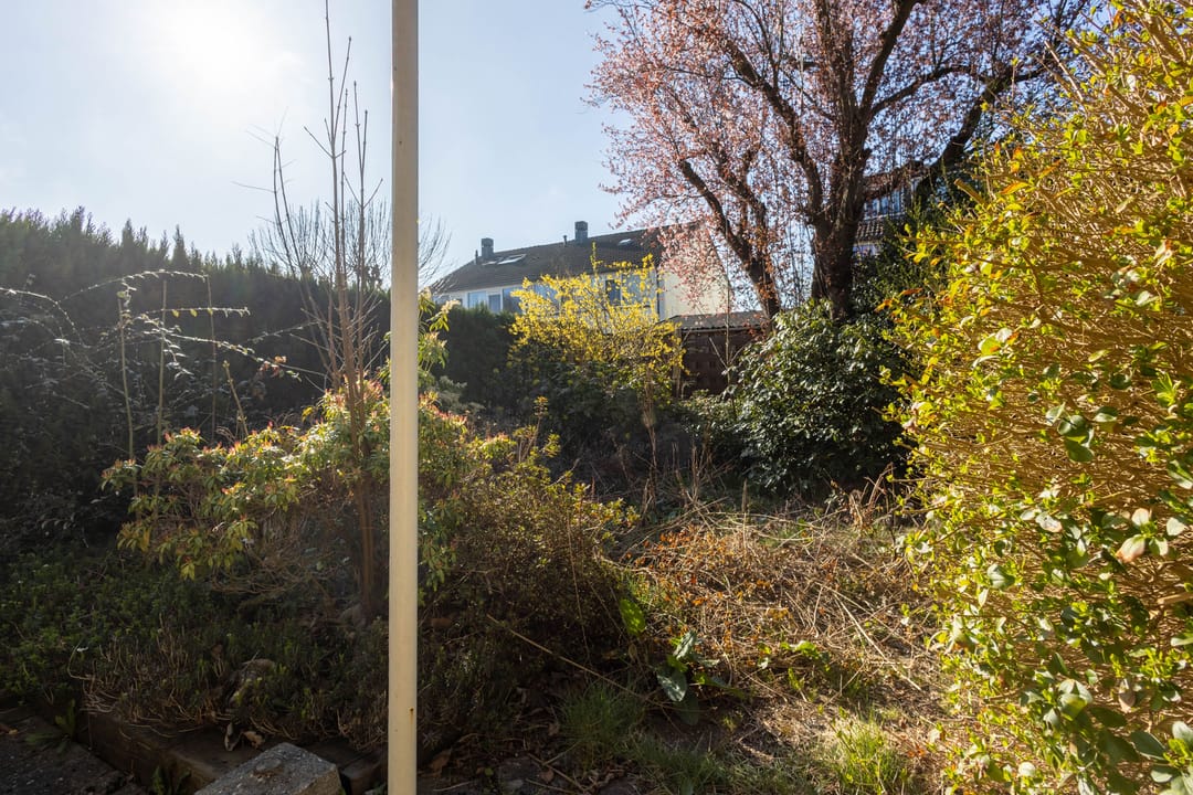 Foto 22 van Grote Vaartlaan 35