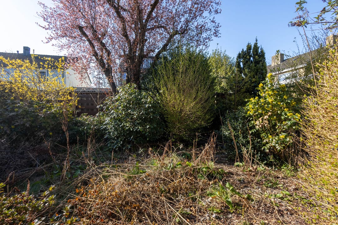 Foto 23 van Grote Vaartlaan 35