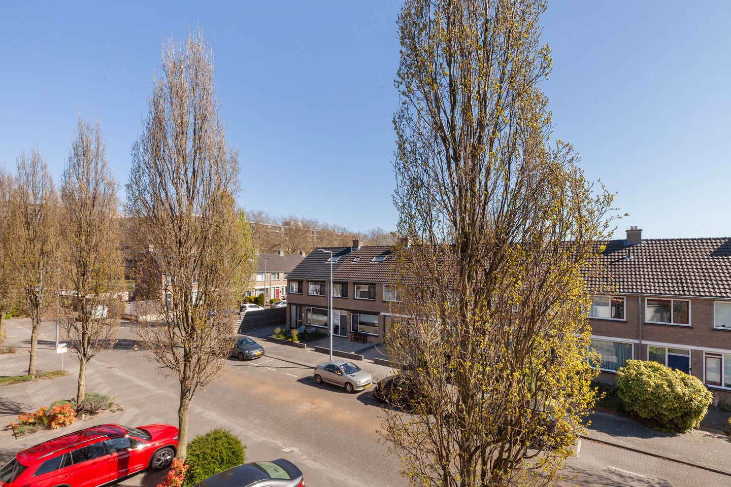 Foto 29 van Dennekruid 26