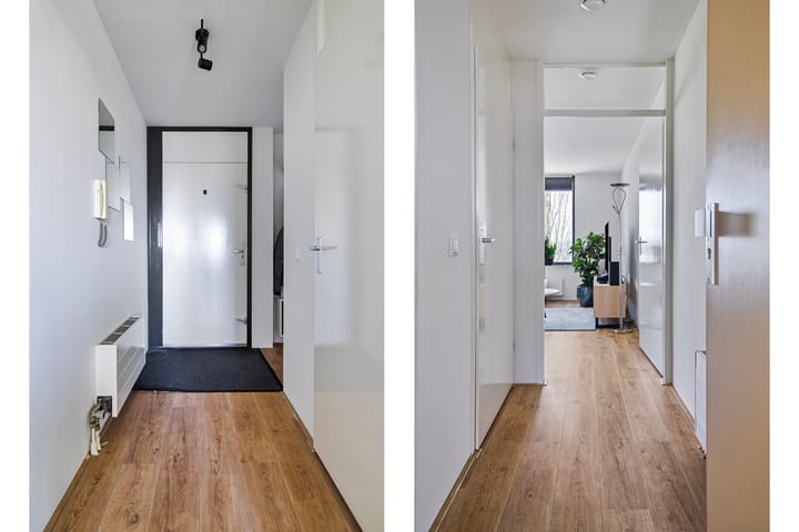 Foto 6 van Springerstraat 145