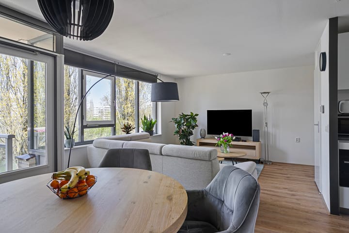 Foto 11 van Springerstraat 145