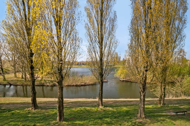 Foto 23 van Springerstraat 145