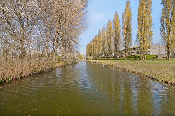 Foto 25 van Springerstraat 145