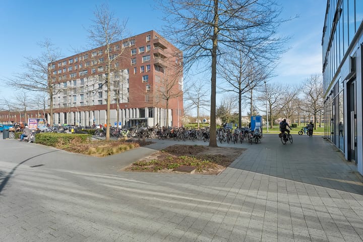 Foto 50 van Werkerlaan 49