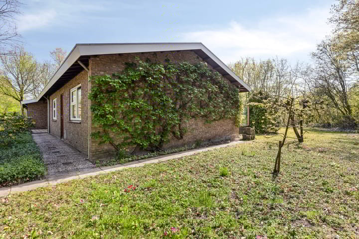 Foto 29 van Fazantenlaan 3