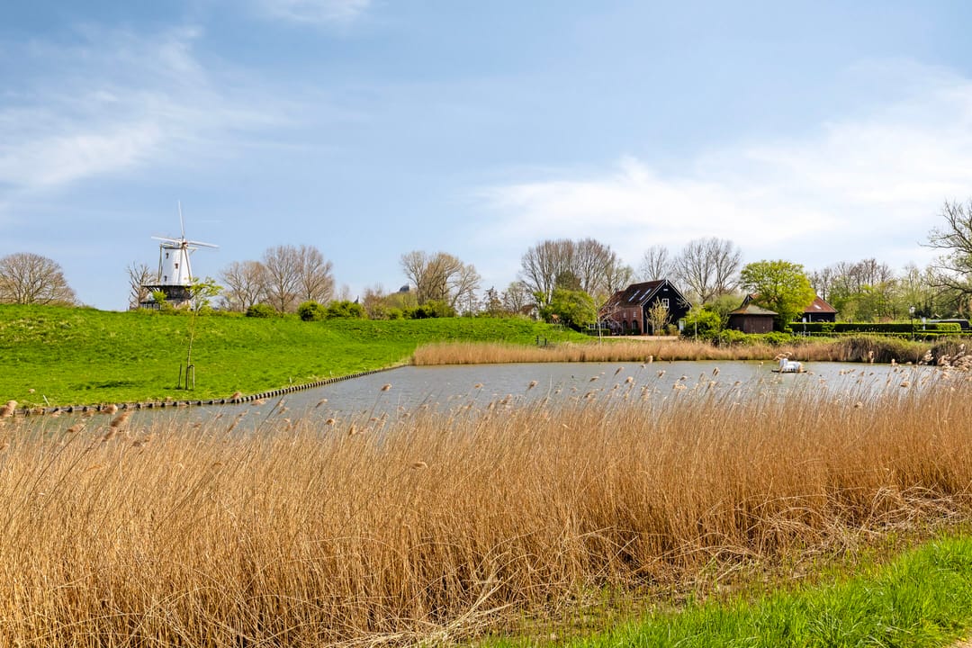 Photo 43 of Fazantenlaan 3