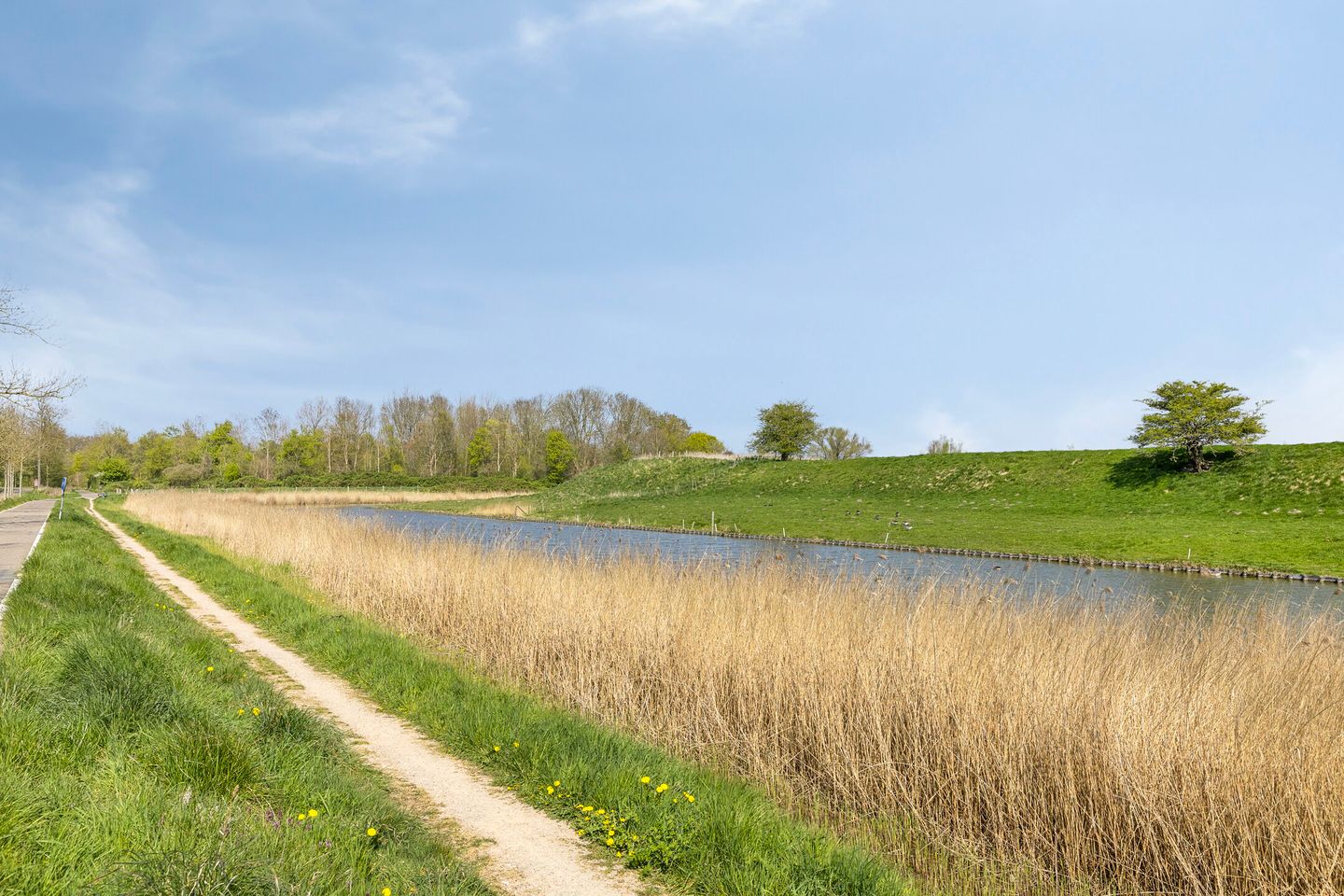 Photo 44 of Fazantenlaan 3