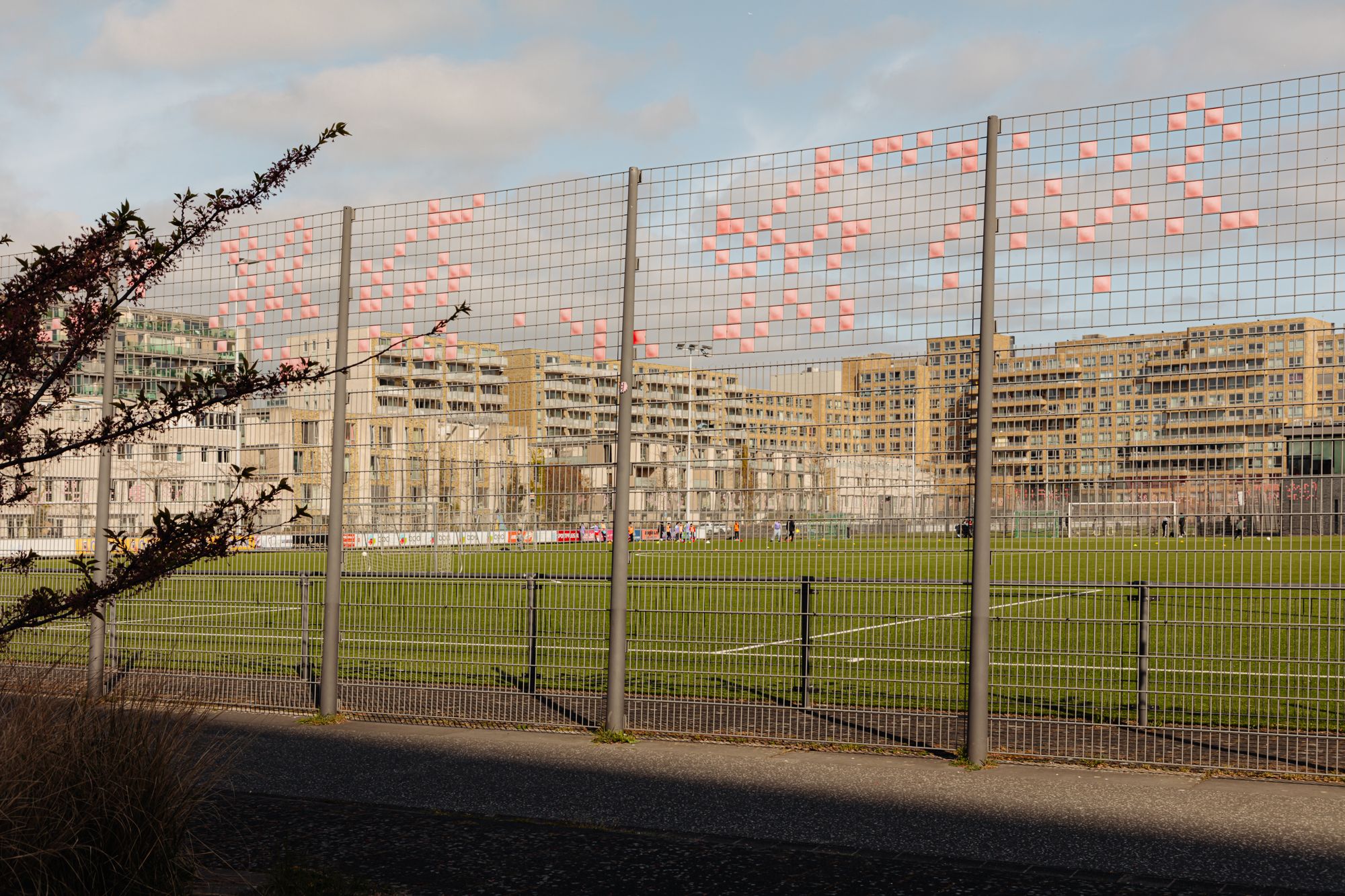 Foto 6 van Laan van Spartaan 44