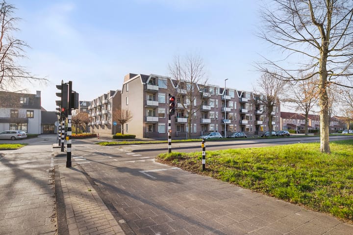 Foto 1 van Majoraan 22