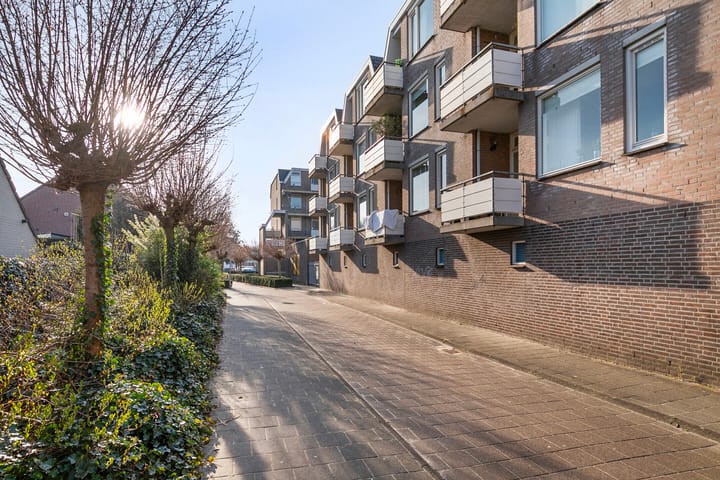 Foto 5 van Majoraan 22