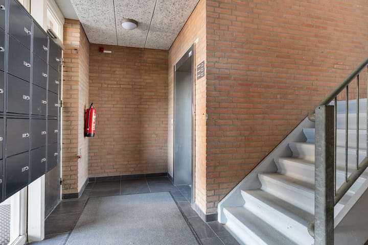 Foto 7 van Majoraan 22