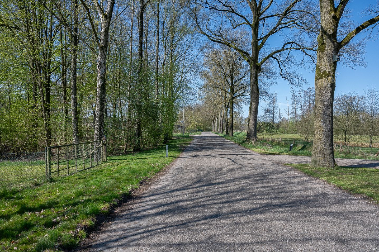 Foto 6 van Vlakkeeweg 6