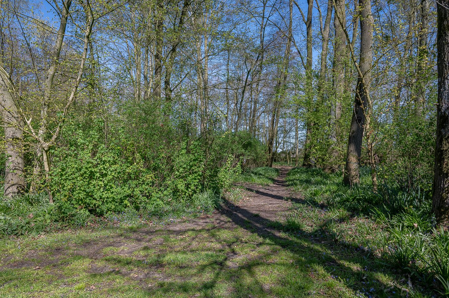 Foto 14 van Vlakkeeweg 6