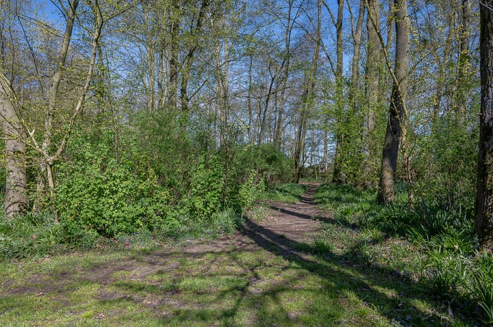 Foto 14 van Vlakkeeweg 6