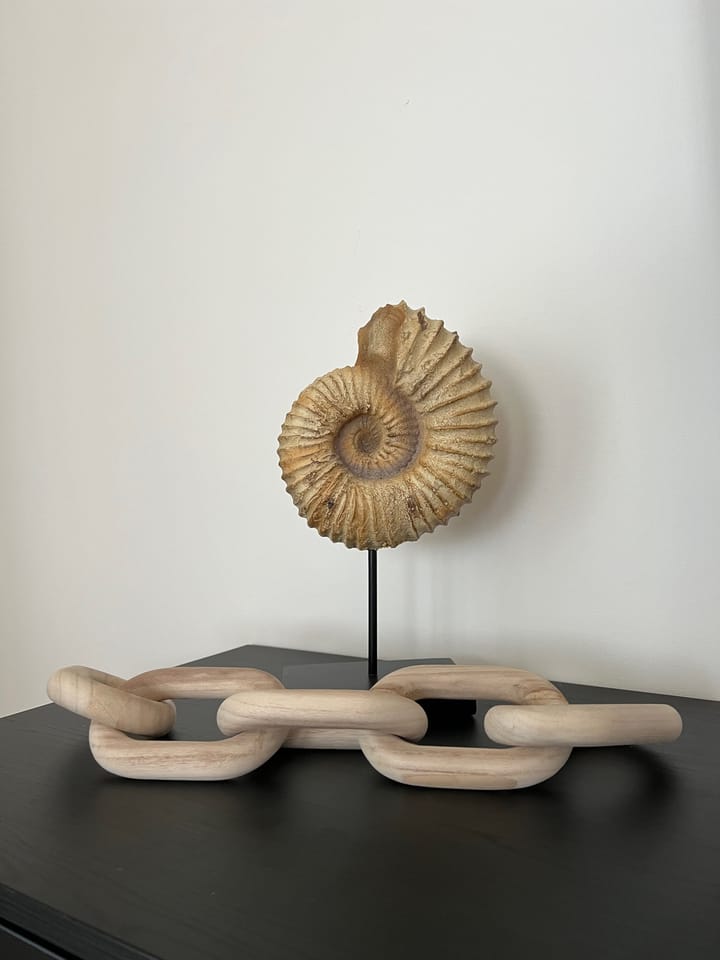 Foto 8 van Middenhavendam 12-202