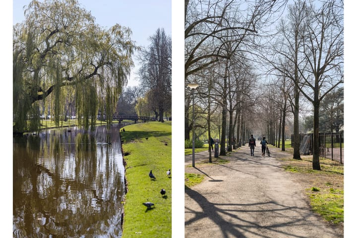 Foto 34 van Burgemeester Meineszlaan 91-A02