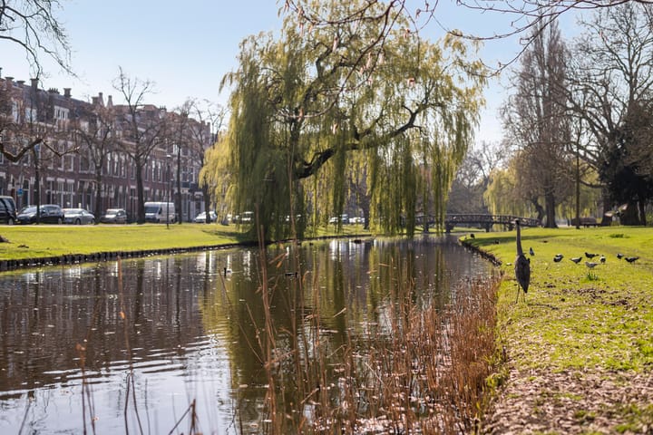 Foto 35 van Burgemeester Meineszlaan 91-A02