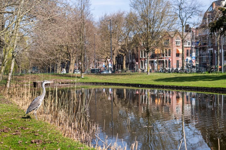 Foto 36 van Burgemeester Meineszlaan 91-A02