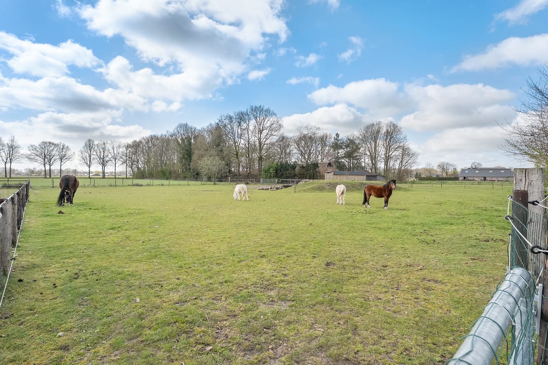 Foto 91 van Prinsenweg 3