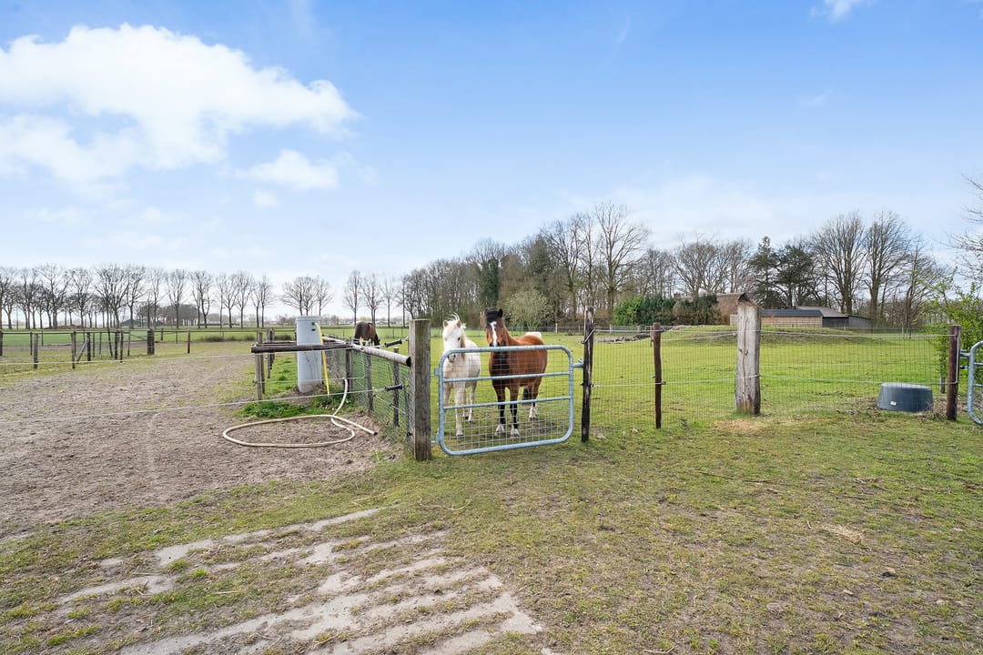 Foto 97 van Prinsenweg 3