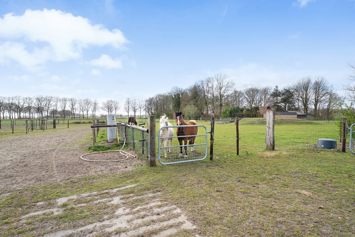 Foto 97 van Prinsenweg 3