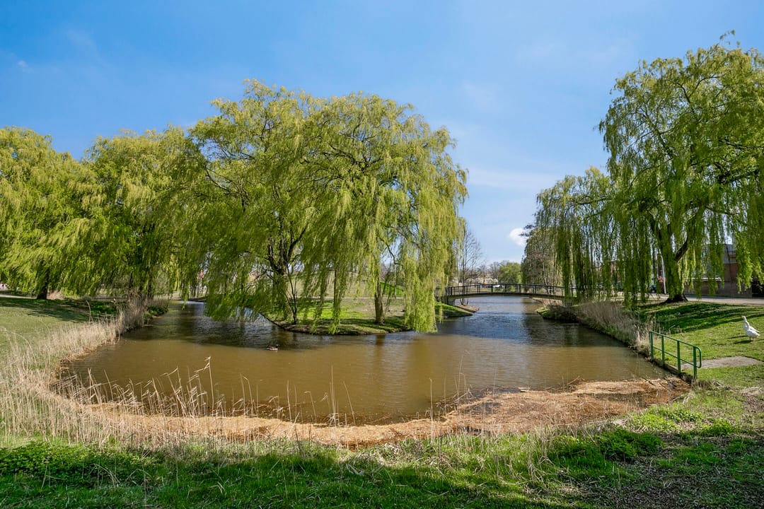 Photo 41 of Munstergeleenhof 1