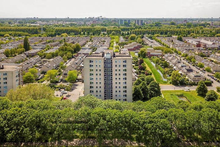 Foto 2 van Hermelijnvlinder 9